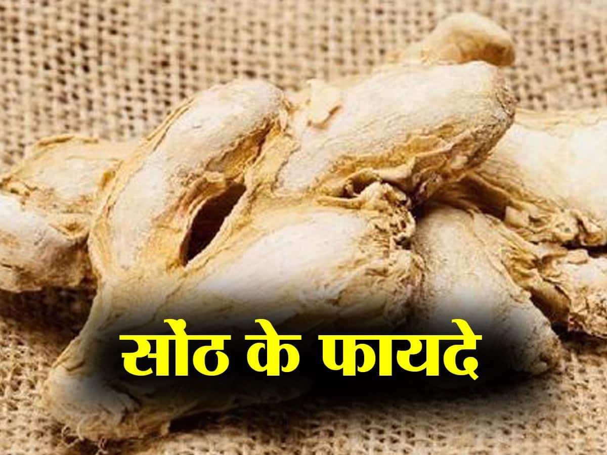 Dried ginger Benefits and Uses- सोंठ के फायदे, औषधीय गुण, लाभ और नुकसान